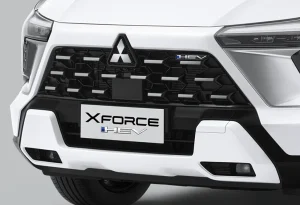 Front Grille Accent